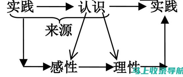 从实践出发：SEO优化在门户网站中的案例分析