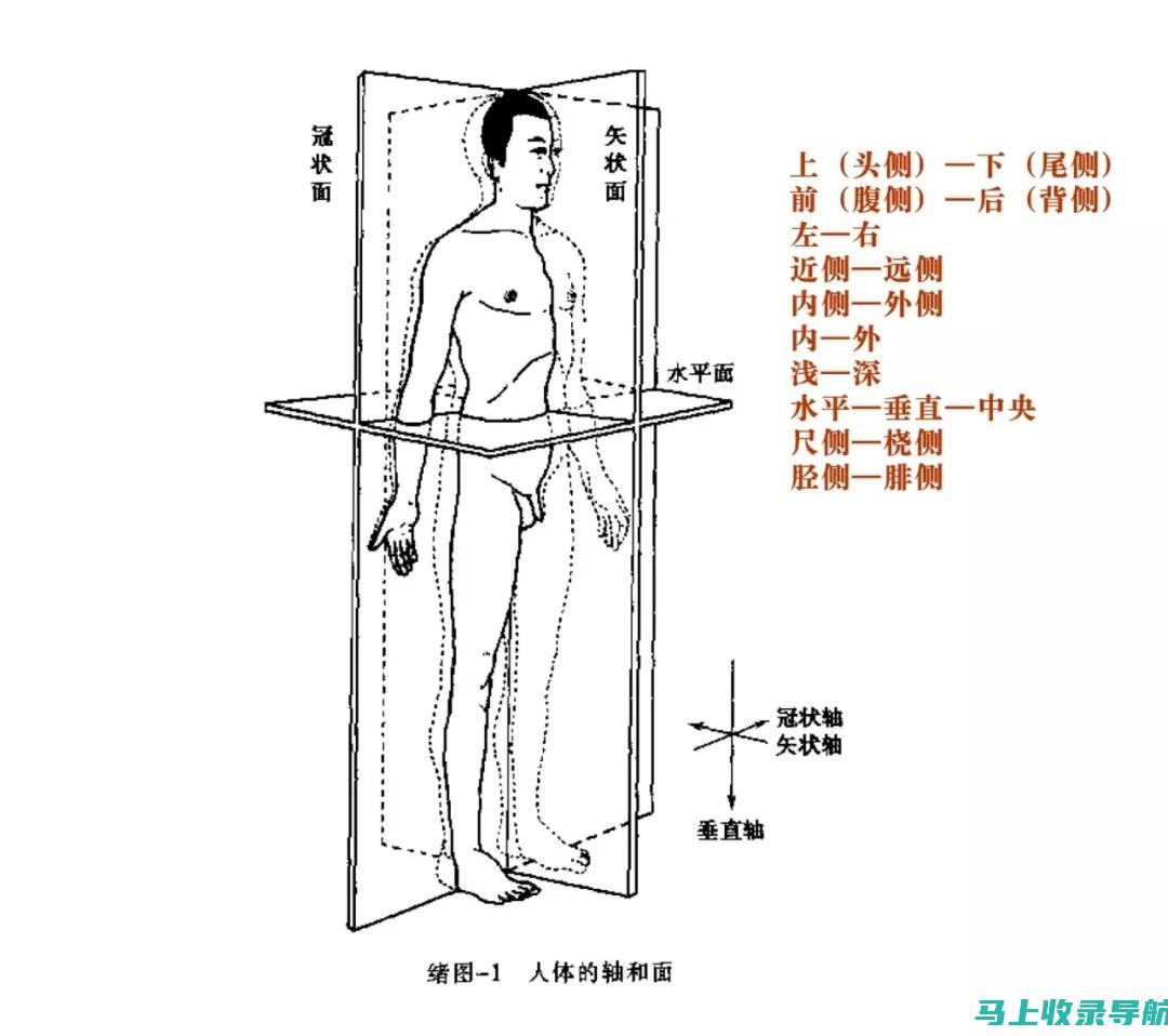 全方位解析SEO搜索引擎优化实战步骤，助力网站营销升级